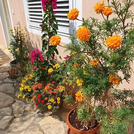 With Parking Space Seline - Paklenica - 17390 Daire *