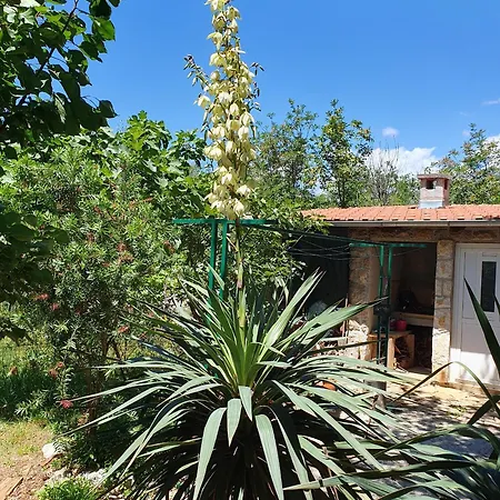 Daire With Parking Space Seline - Paklenica - 17390 Starigrad Paklenica