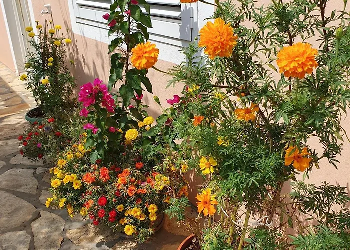 With Parking Space Seline - Paklenica - 17390 Daire *