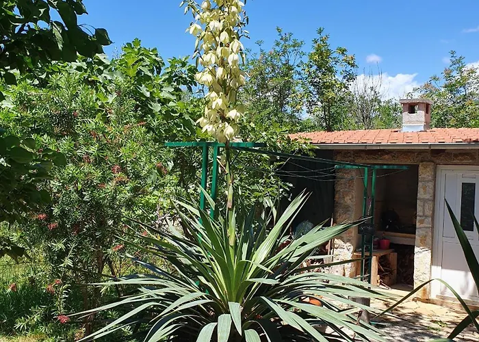 Apartamento With Parking Space Seline - Paklenica - 17390 Starigrad Paklenica